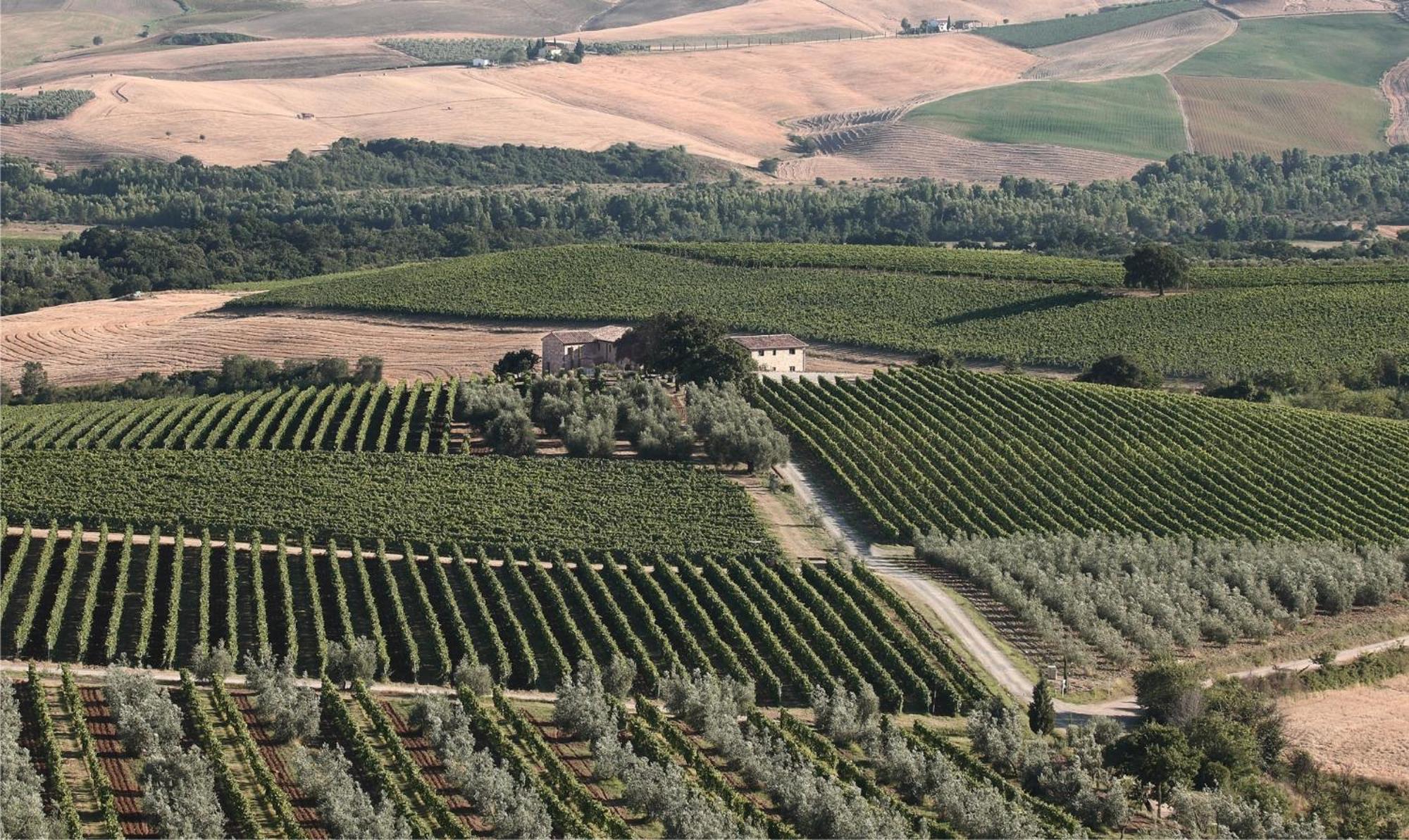 Agriturismo Il Poggione Villa Montalcino Esterno foto