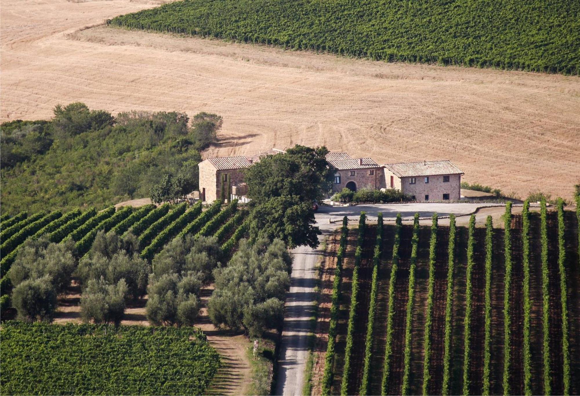 Agriturismo Il Poggione Villa Montalcino Esterno foto